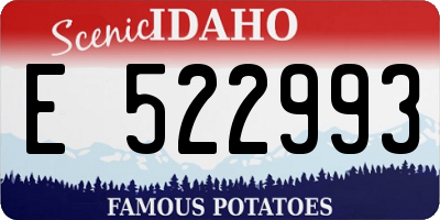 ID license plate E522993