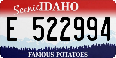 ID license plate E522994