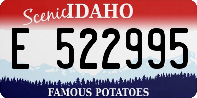 ID license plate E522995