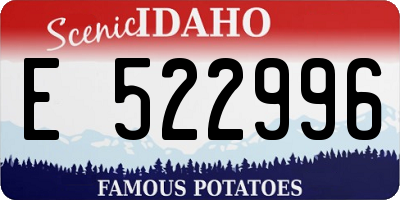 ID license plate E522996