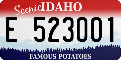 ID license plate E523001