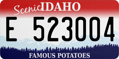 ID license plate E523004