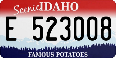 ID license plate E523008