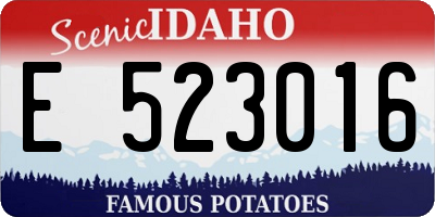ID license plate E523016