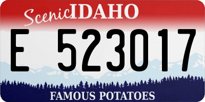 ID license plate E523017