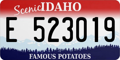 ID license plate E523019