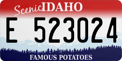 ID license plate E523024