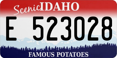 ID license plate E523028
