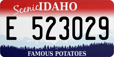 ID license plate E523029