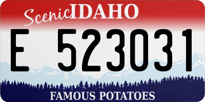 ID license plate E523031