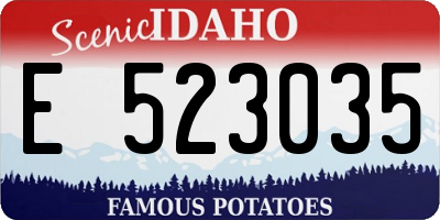ID license plate E523035