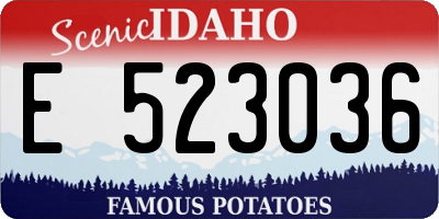 ID license plate E523036