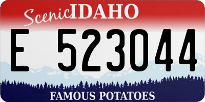 ID license plate E523044