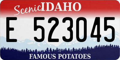 ID license plate E523045
