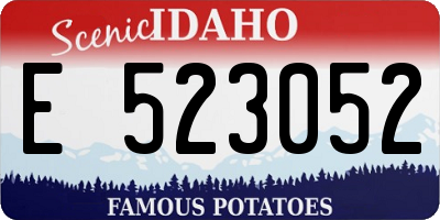 ID license plate E523052