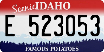 ID license plate E523053
