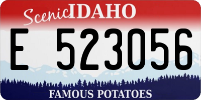 ID license plate E523056