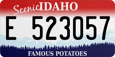 ID license plate E523057