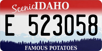 ID license plate E523058