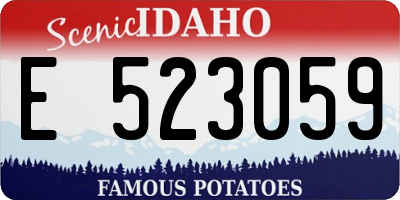 ID license plate E523059