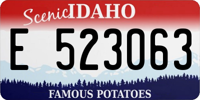 ID license plate E523063