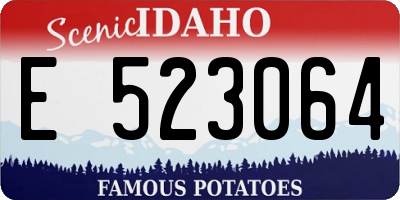 ID license plate E523064