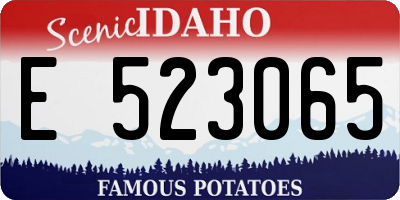 ID license plate E523065