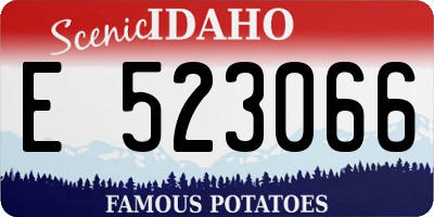 ID license plate E523066
