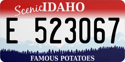 ID license plate E523067