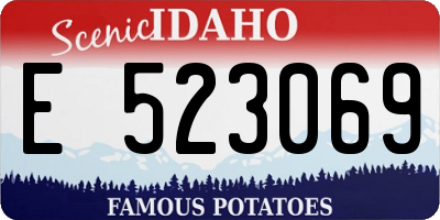 ID license plate E523069
