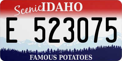 ID license plate E523075