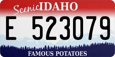 ID license plate E523079