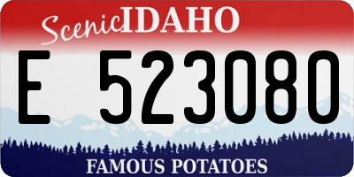 ID license plate E523080