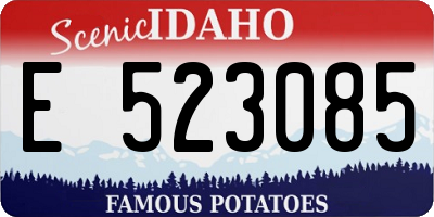 ID license plate E523085