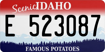 ID license plate E523087