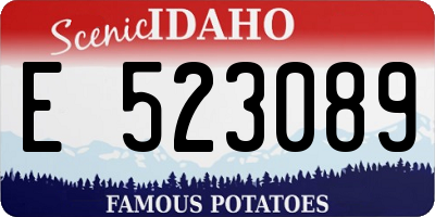 ID license plate E523089
