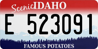 ID license plate E523091