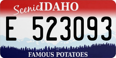 ID license plate E523093
