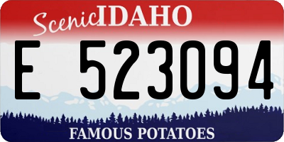 ID license plate E523094