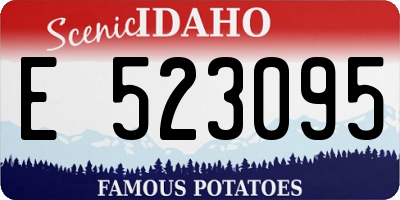 ID license plate E523095