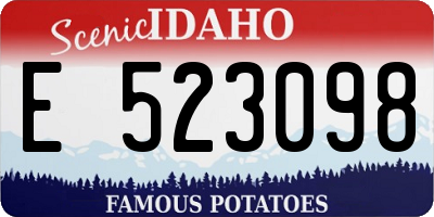 ID license plate E523098