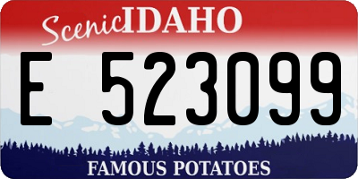 ID license plate E523099