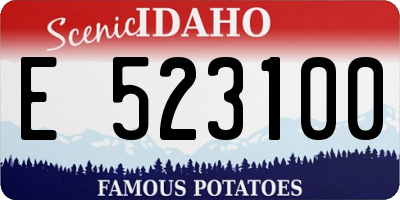 ID license plate E523100