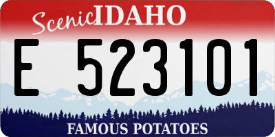 ID license plate E523101