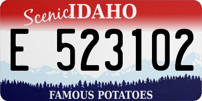 ID license plate E523102