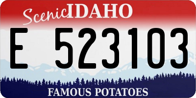 ID license plate E523103