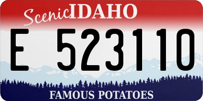 ID license plate E523110
