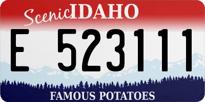 ID license plate E523111