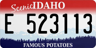 ID license plate E523113