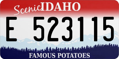ID license plate E523115